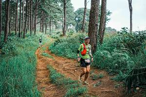 BIB: 
                            <button type="button" onclick="openModal(25656957)" class="btn btn-primary btn-sm float-right btn-popup" data-toggle="modal" data-target=".modal-high-quality">
                        <i class="fas fa-shopping-cart"></i> Add to Cart
                    </button>
                                            <button type="button" onclick="isThisMe(25656957, true)" class="btn btn-success btn-sm float-right btn-popup btn-isme hidden" data-toggle="tooltip" data-placement="bottom" title="นี่คือรูปของคุณใช่ไหม คลิกที่นี่เพื่อเอาเข้าอัลบั้ม">
                        <i class="fas fa-plus"></i> Add to album
                    </button>
                    <button type="button" onclick="isThisMe(25656957, false)" class="btn btn-warning btn-sm float-right btn-popup btn-isnotme hidden">
                        <i class="fas fa-ban"></i> Remove from album
                    </button>